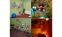 Bild 1&nbsp;Willy L�cken