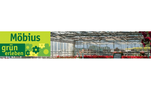 Blumen Möbius GmbH in Lutherstadt Wittenberg - Logo