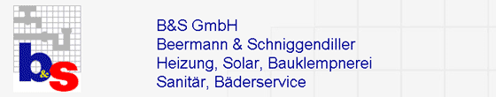 B & S GmbH in Rietberg - Logo