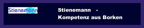 B. Stienemann GmbH & Co. KG in Borken in Westfalen - Logo