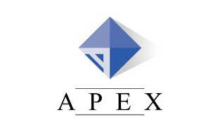 Apex GmbH Steuerberatungsgesellschaft in Wolfenbüttel - Logo