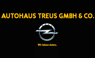 Autohaus Treus GmbH & Co. KG in Laer Kreis Steinfurt - Logo