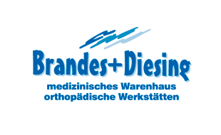 Bild zu Brandes & Diesing in Osnabrück