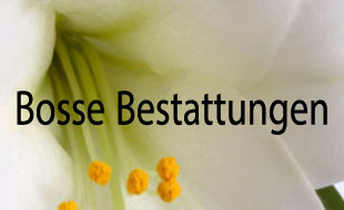 Bosse in Gifhorn - Logo