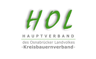 LSO Steuerberatungsges. mbH in Osnabrück - Logo