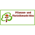 Logo Blumen Hinz Magdeburg
