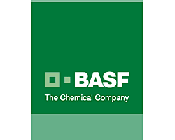 basf catalyst