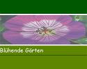 Logo Blühende Gärten Inhaberin Antje Tiedt Antje Veltheim