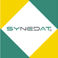 Logo Synedat Consulting GmbH Helmstedt