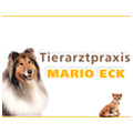 Logo Eck Mario Sulingen