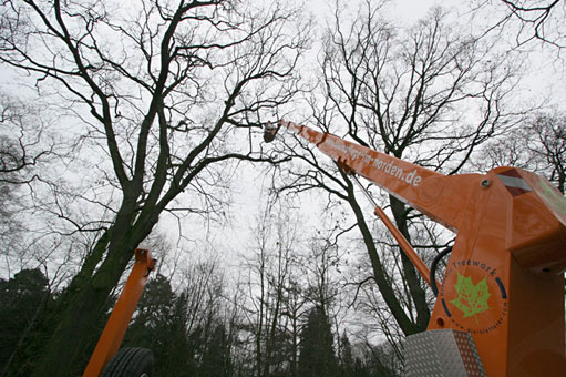 Bild 2 Hanseatic Treework GmbH & Co. KG in Bremen