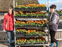 Eigentümer Bilder Gartenbau Rolf Lühnen Apensen
