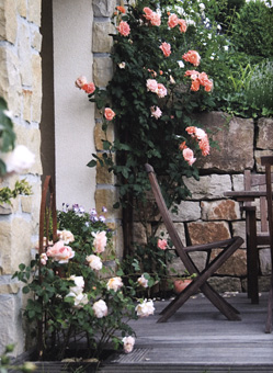 GERBER - Garten und Landschaftsbau