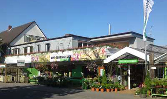 Seit 2007 sind wir in Bielefeld ansässig und betreiben gewerblich Raumbegrünung in Büro, Praxis, Wartebereichen, Kantinen, Messen oder in der Gastronomie Seit 2007 sind wir in Bielefeld ansässig und betreiben gewerblich Raumbegrünung in Büro, Praxis, Wartebereichen, Kantinen, Messen oder in der Gastronomie