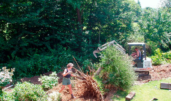 Das Team besteht aus qualifizierten Gärtnern mit über 30 Jahren Berufserfahrung. Wir legen vor allem Wert auf eine nachhaltige Gartengestaltung,