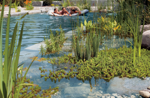 Garten-, Schwimm- und Biotopteiche