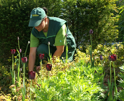 Gartenpflege