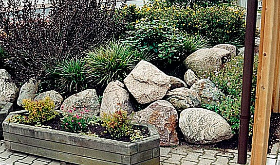 Steingarten, Bepflanzungen, Gehölzschnitt - Michael Gehrke Garten und Landschaftsbau GmbH & CO. KG Steingarten, Bepflanzungen, Gehölzschnitt - Michael Gehrke Garten und Landschaftsbau GmbH & CO. KG