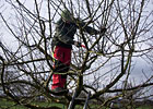 Eigentümer Bilder MR Umweltservice GmbH Garten- und Landschaftspflege Weyhe