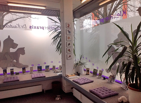 Ein Blick in unser Wartezimmer. Ein Blick in unser Wartezimmer.