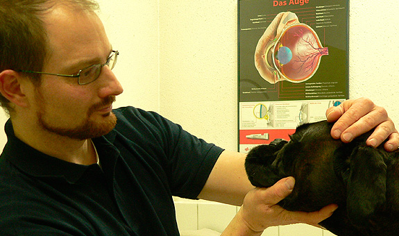 Dr. med. vet. Fabian Engelke untersucht die Augen eines Hundes