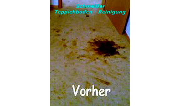 Teppichboden vor der Reinigung Teppichboden vor der Reinigung