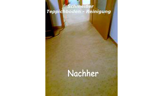 Teppichboden nach der Reinigung