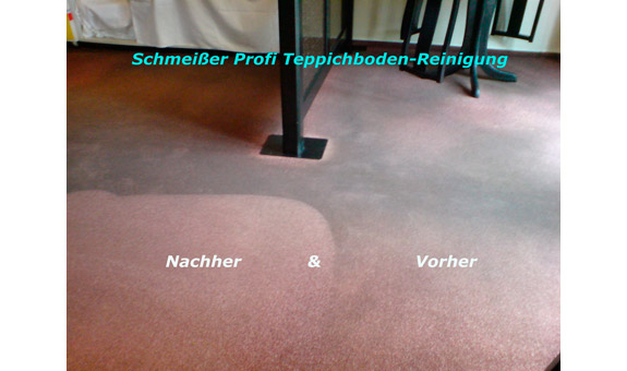 Der professionell gereinigte Teppichboden ist sofort wieder begehbar Der professionell gereinigte Teppichboden ist sofort wieder begehbar