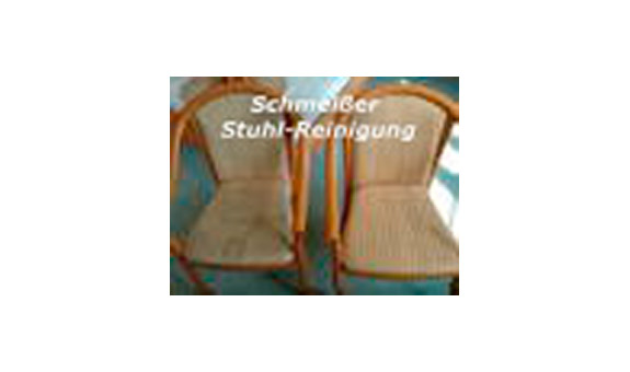 Mobile biologische Profi-Reinigung von Bürostühlen und Besucherstühlen Mobile biologische Profi-Reinigung von Bürostühlen und Besucherstühlen