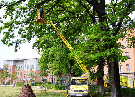 Einblicke in unseren Arbeitsalltag