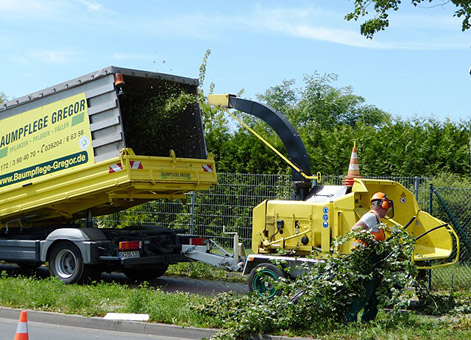 Äste und Starkholz bis 30 cm Durchmesser werden geschreddert.