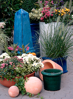 Topf- und Kübelbepflanzung für Terrasse und Balkon