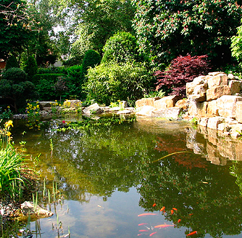 Ein Teich im Garten lässt viele Variationen zu