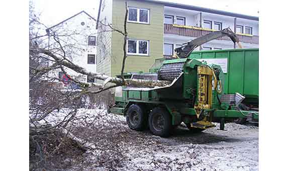 arbora Baumtechnik - Fachbetrieb für Baumpflege