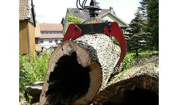 arbora Baumtechnik - Fachbetrieb für Baumpflege