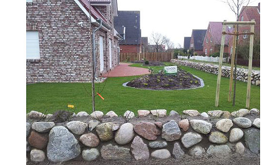 Friesenwall auf Langeoog - von uns gebaut und bepflanzt