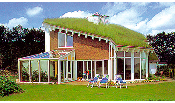 Ein begrüntes Dach speichert Niederschläge, gleicht Temperaturschwankungen aus und verbessert die Staubbindung.