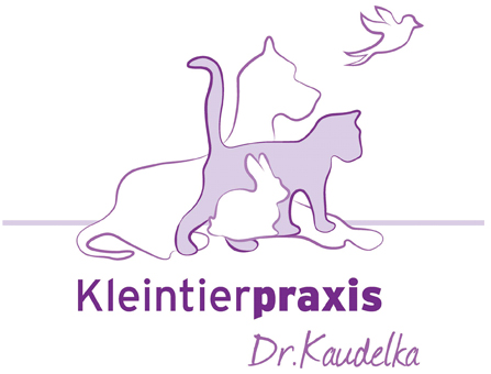 Unsere Patienten sind Hunde, Katzen, Frettchen, Kaninchen, Nagetiere und Vögel.