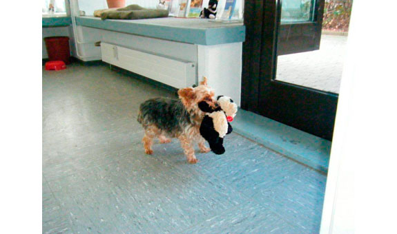 Ein kleiner Patient mit Freund! Ein kleiner Patient mit Freund!