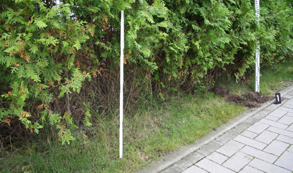 TRS Tim Röder Sachverständiger im Garten- und Landschaftsbau TRS Tim Röder Sachverständiger im Garten- und Landschaftsbau