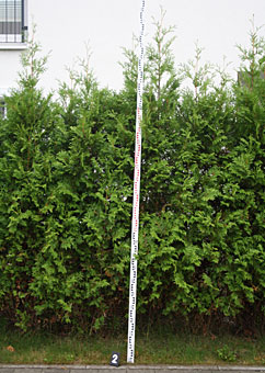 TRS Tim Röder Sachverständiger im Garten- und Landschaftsbau TRS Tim Röder Sachverständiger im Garten- und Landschaftsbau