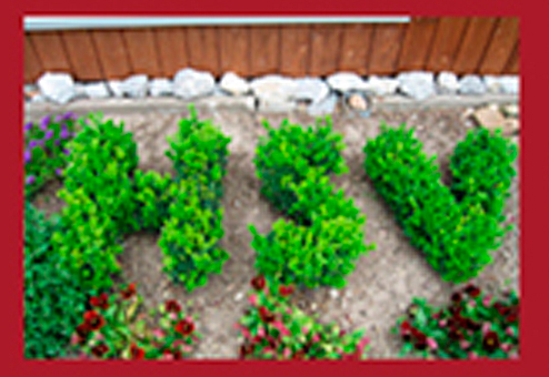 Wir liefern auch außer Haus, für die Feier in Ihrer Wohnung, auf der Arbeit, im Garten.