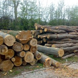 Unser Brennholz eignet sich für alle Arten von Holzheizungen und Scheitholzheizungen