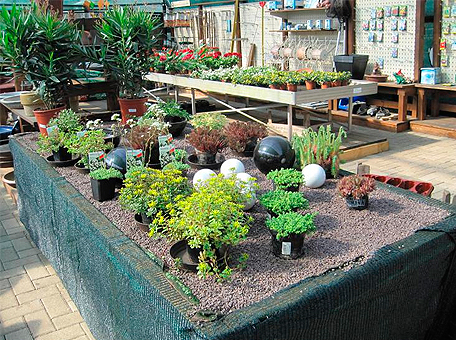 Seit über 20 Jahren sind wir Ihr Gartencenter im Raum Celle Seit über 20 Jahren sind wir Ihr Gartencenter im Raum Celle