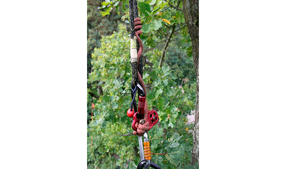 Der Klemmknoten ist ein selbstblockierender Knoten, der ein dynamisches Klettern im Baum möglich macht