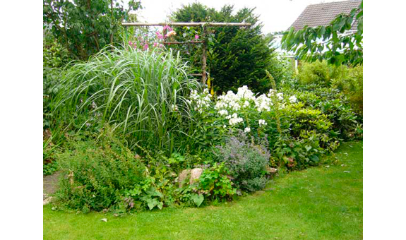 Beispiel für die Gartengestaltung Beispiel für die Gartengestaltung