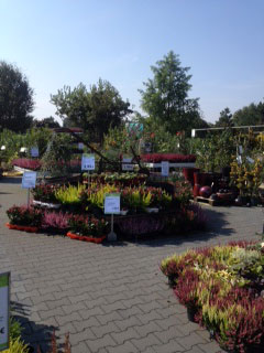 Unser Freilandgartencenter Unser Freilandgartencenter