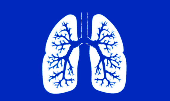 Arzt für Atemwegserkrankungen und Internist