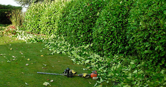 Lassen Sie Ihre Gartenanlage durch unser Team regelmäßig oder bedarfsorientiert pflegen.