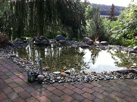 Bild 6 Kandler Garten- und Landschaftsbau in Bovenden